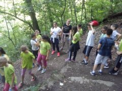 IMG-3f056226ad0f46f56a8b2382f793dc81-V.jpg